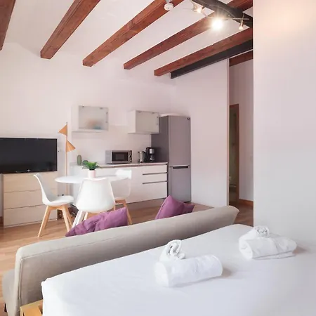 Spacious Doubleroom At Sants Apartament Barcelona